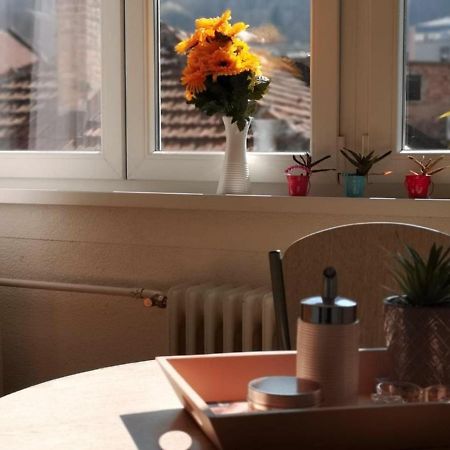 Apartment Skendy Saraybosna Dış mekan fotoğraf